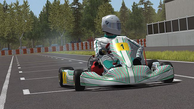 Kart Racing Pro