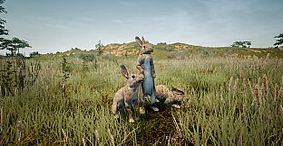 Animalia Survival EggHunt