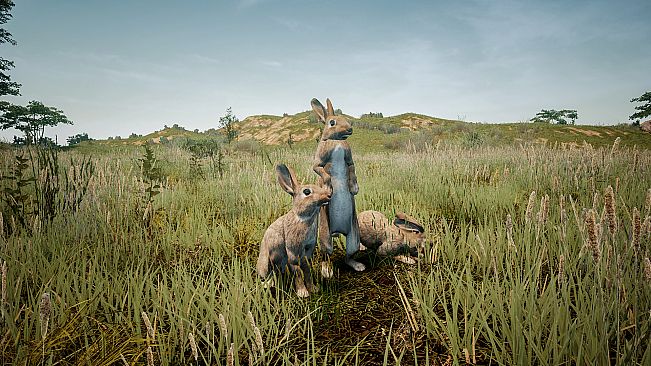 Animalia Survival EggHunt