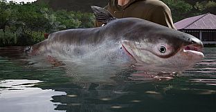 Fishing Sim World: Pro Tour - Giant Carp Pack