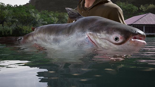 Fishing Sim World: Pro Tour - Giant Carp Pack