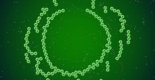 The Bibites: Digital Life