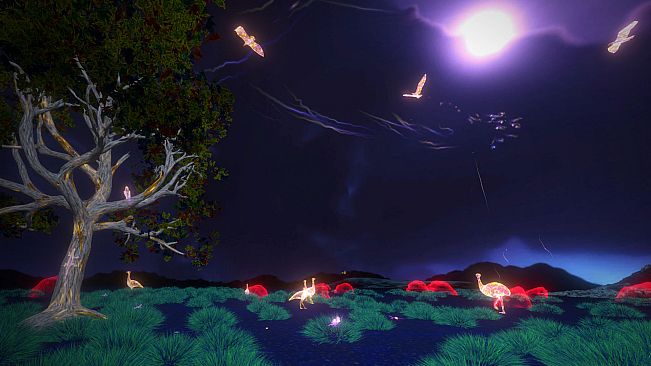 Thalu: Dreamtime is Now