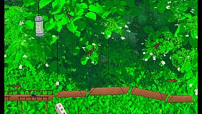 Dung Beetle Adventure