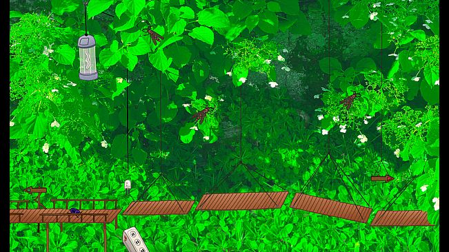 Dung Beetle Adventure