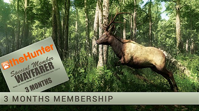 theHunter: Wayfarer Starter Pack