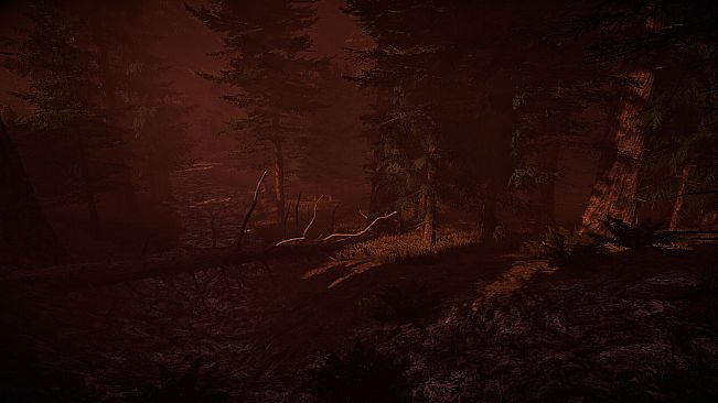 Honey Time! with Pooh!