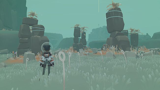 Space Vet