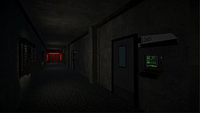 Provisional Detective