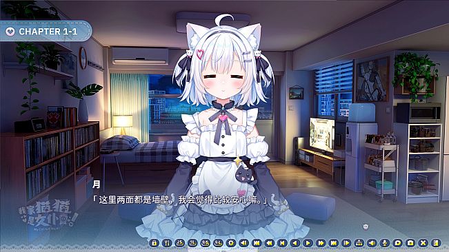 My Cat Is a Maid!