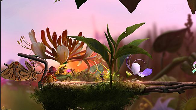 Mari and Bayu - The Road Home