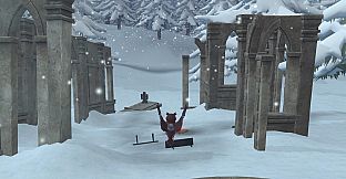 Wizards Owl: Magic Delivery