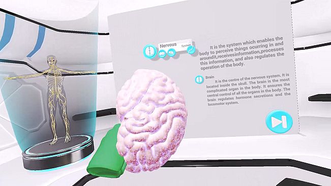 VRLab Academy Anatomy VR