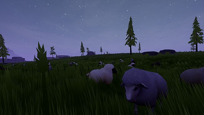 Therapy Sheep VR