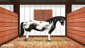 Rider's World: I Want To Ride!