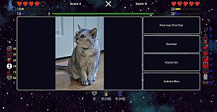 I've Seen Everything - Cats