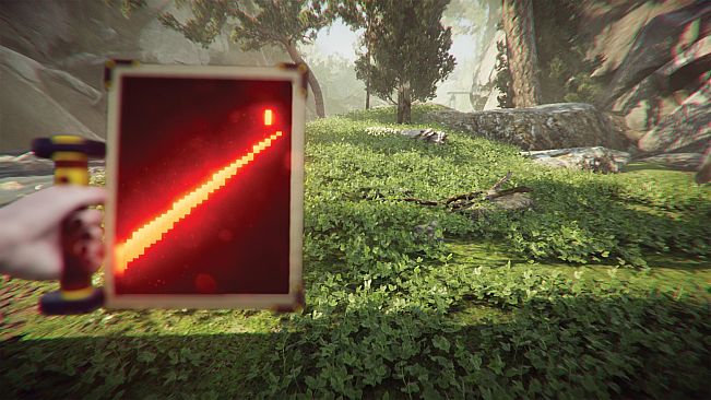 The Forest Cathedral