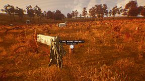 EXPLOITATION: Corporate Greed