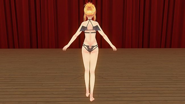 CUSTOM ORDER MAID 3D2 It's a Night Magic Midsummer Maid's Dream ALL in ONE Pack