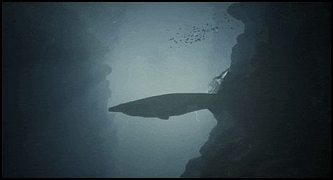 The Depths: Prehistoric Survival