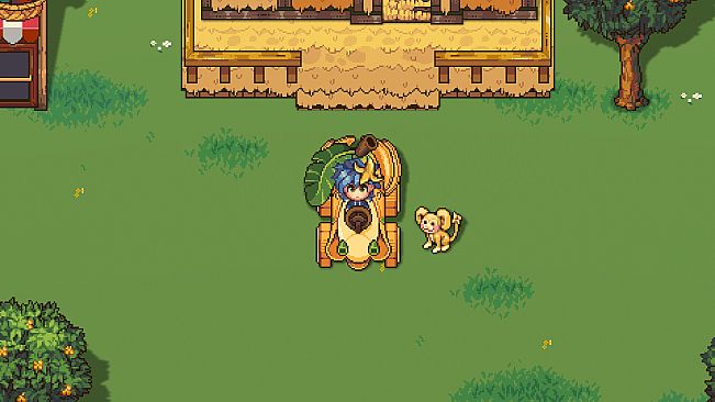 Sun Haven: Funky Monkey Pack