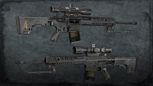 Squad Weapon Skins - Precision Strike Pack