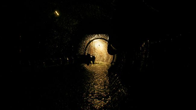 Aylin: The Story of Tom