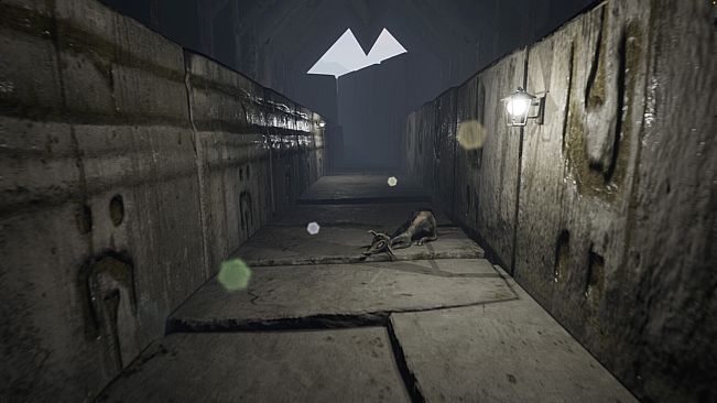 A Whisper in the Twilight: Chapter Two