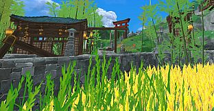 Asian Story
