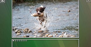 Super Jigsaw Puzzle: Generations - Dogs Puzzles