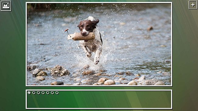 Super Jigsaw Puzzle: Generations - Dogs Puzzles