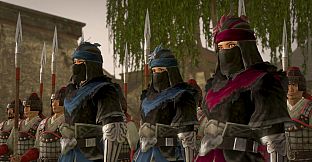 DYNASTY WARRIORS 9 Empires - Unisex Custom Cunning Concealment Set