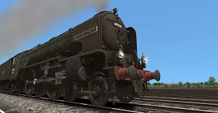 TS Marketplace: British Railways Class A2 Livery Pack Add-On