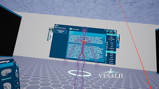 Vesalii Anatomy VR Student