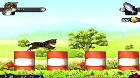 My Best Friends - Cats & Dogs