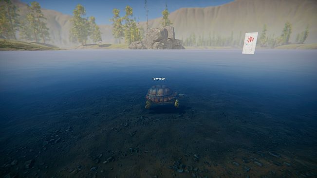 Turtles on Crocodiles