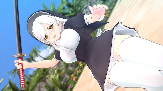 SENRAN KAGURA ESTIVAL VERSUS - Surprise Pack