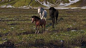 HORSE LIFE: find horses in open world, survive in wild nature as a foal or pony