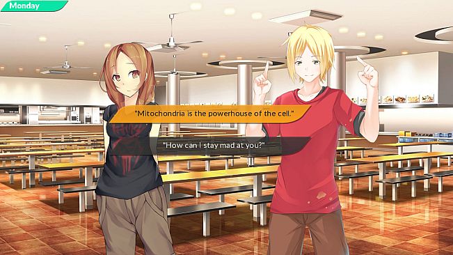 The Sibling Experiment