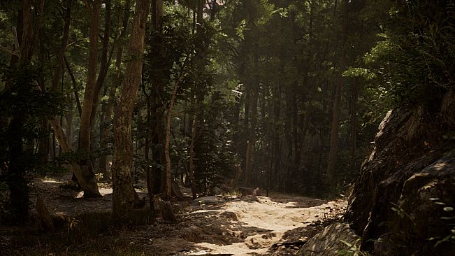 The Wired Narrative Bundle