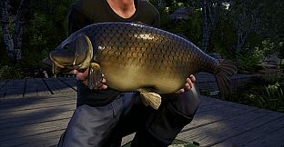 Euro Fishing: Waldsee