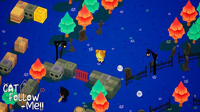 Cat Follow Me
