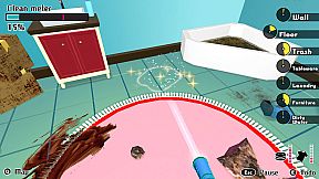 House Cleaning Survival