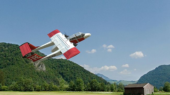 RealFlight Evolution - 2024 Year Content Pass