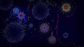 Microcosmum: survival of cells