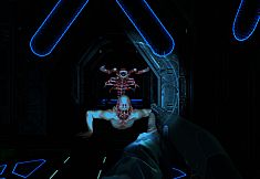Terminal illness Rogue Horror Space Shooter