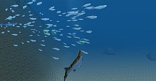 Omega 3