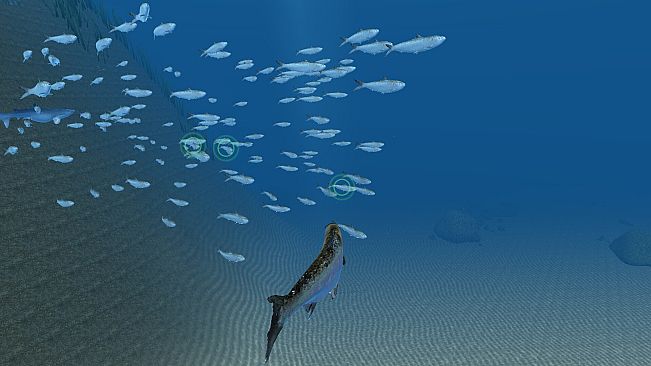 Omega 3