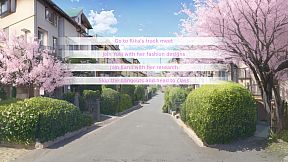 Beneath The Cherry Blossom Tree