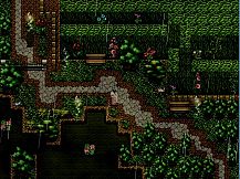 The Frosty Leaves 寒叶下的薄冰